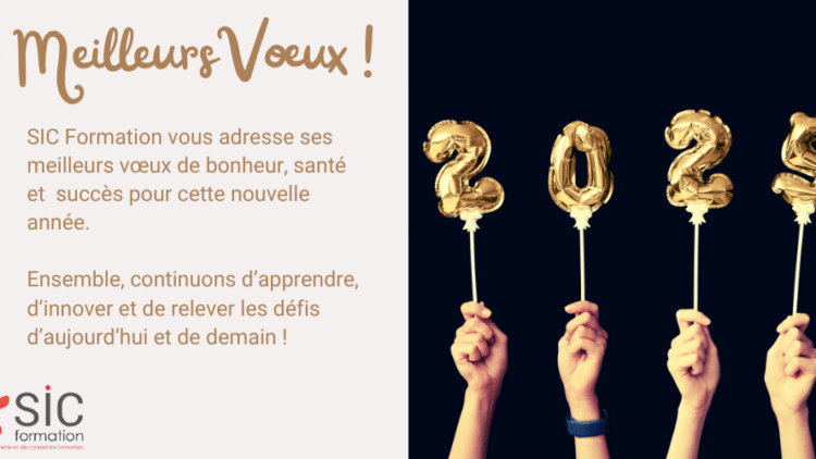 Meilleurs Voeux 2025